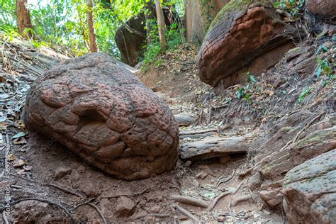 cave in thailand that looks like a snake|Naka Cave, Thailand: All about the Legends,。